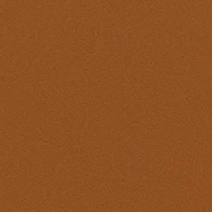 Meet your Posher, Jovahnna